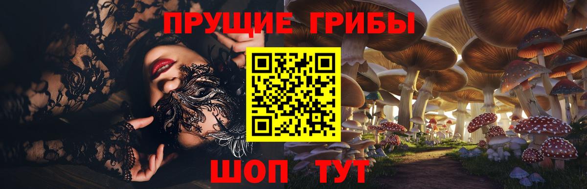 Галлюциногенные грибы Psilocybe Солнечногорск
