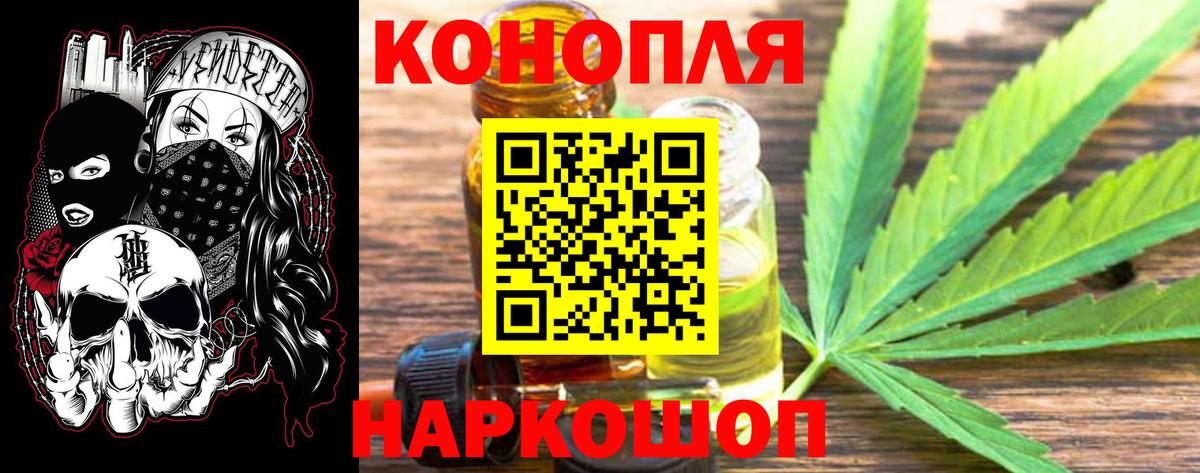 Бошки Шишки гибрид  Вход с VPN  Марихуана тримм  Солнечногорск  МАРИХУАНА OG Kush  Каннабис семена 